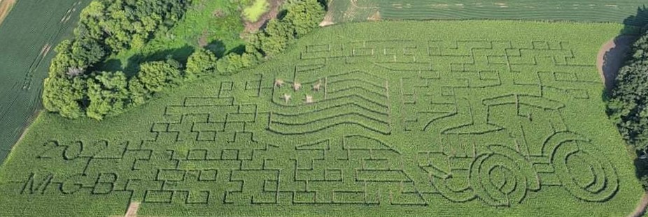 received_8847634124729542